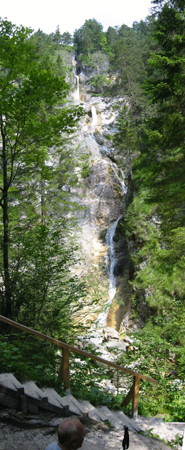 102-0237-Almbachlamm